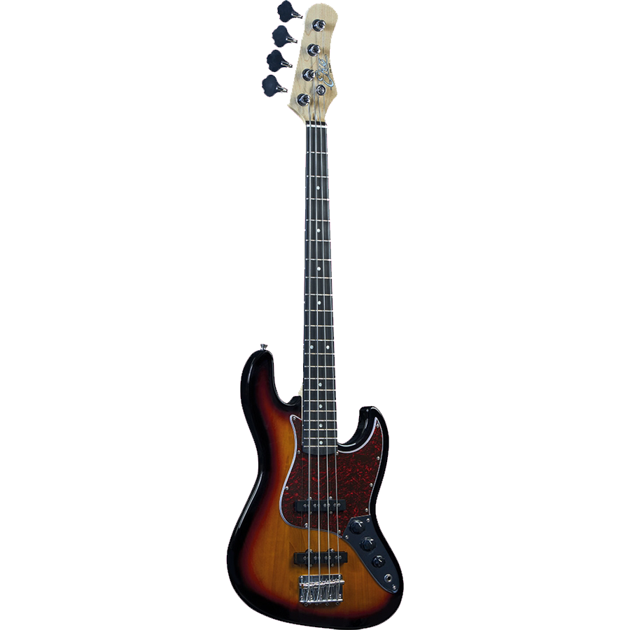 Bass Guitar